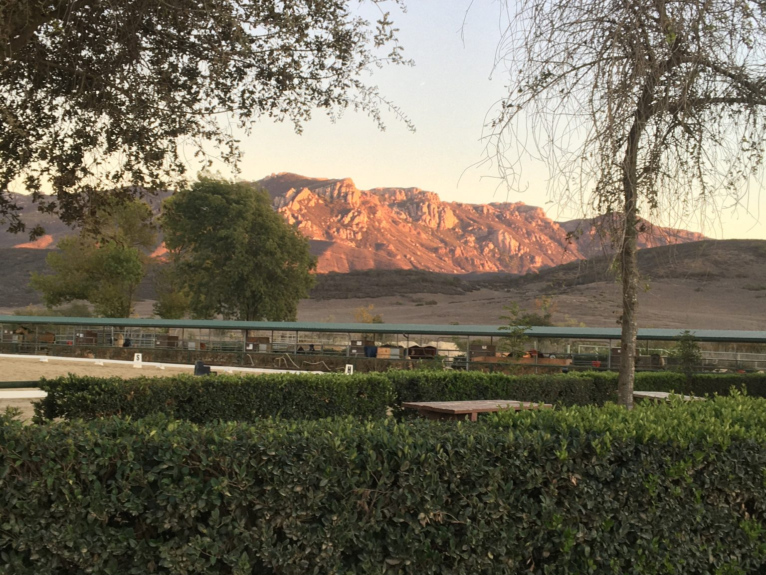 Landscape with dry trees, hedges, and distant mountains at sunset.