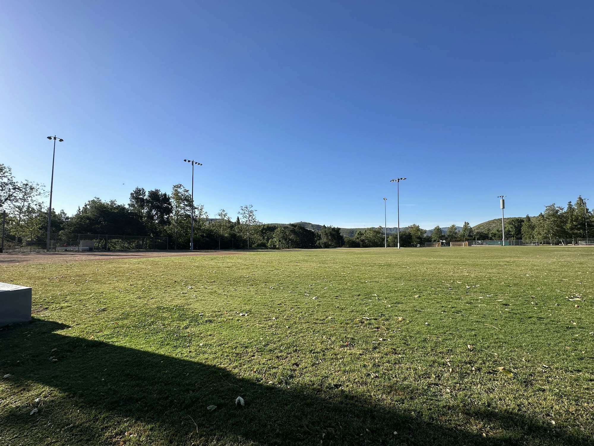 A spacious green field under a clear blue sky, lined with trees and equipped with sports lighting.
