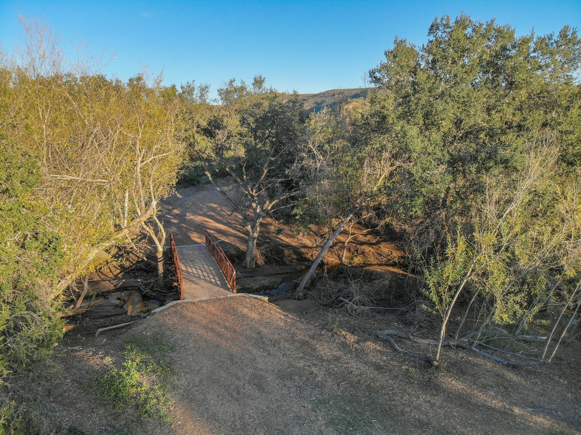 A small bridge over a creek surrounded by trees and a clear sky.