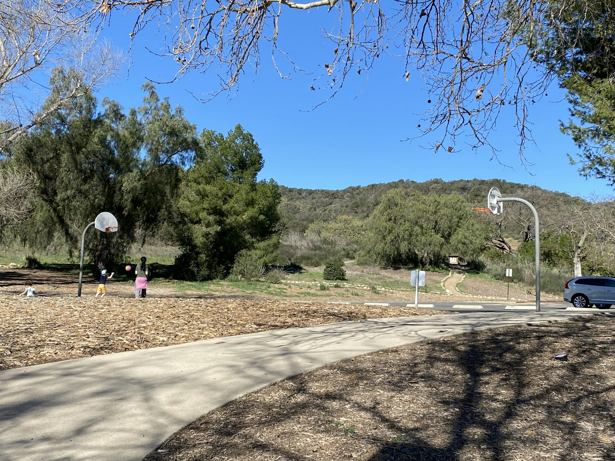 Children playing basketball outdoors with trees, a path, and a car in the background under a clear blue sky.