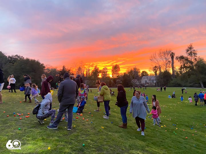 A group of people on a grassy field at sunset, participating in an event with scattered colorful plastic eggs.
