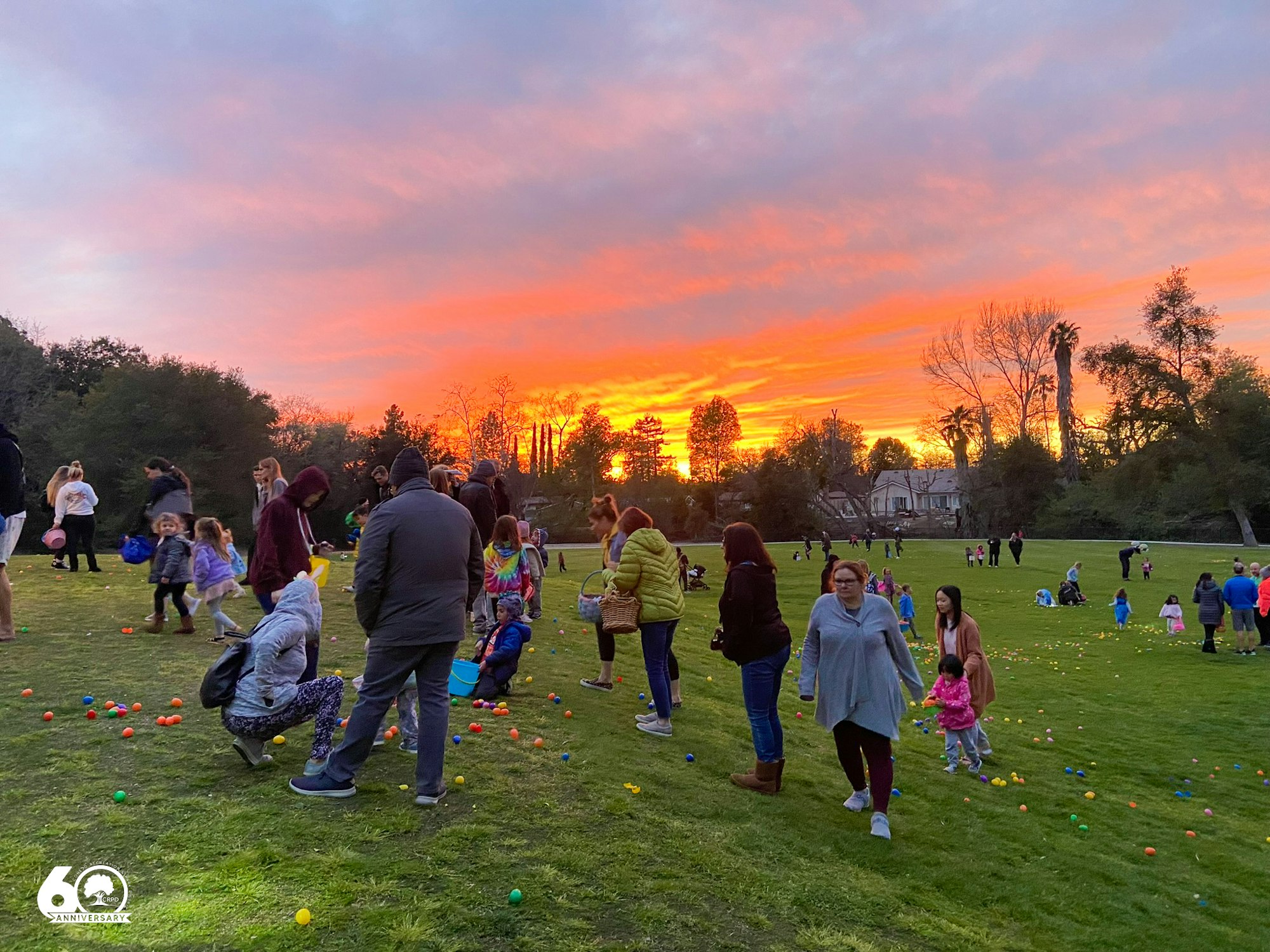 A group of people on a grassy field at sunset, participating in an event with scattered colorful plastic eggs.