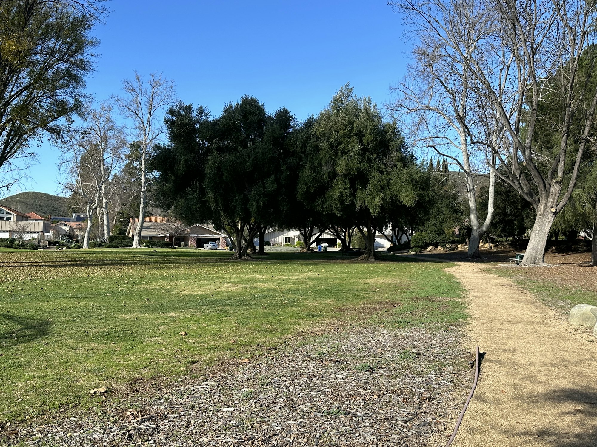 A park with a dirt path, green grass, large trees, and houses in the background.