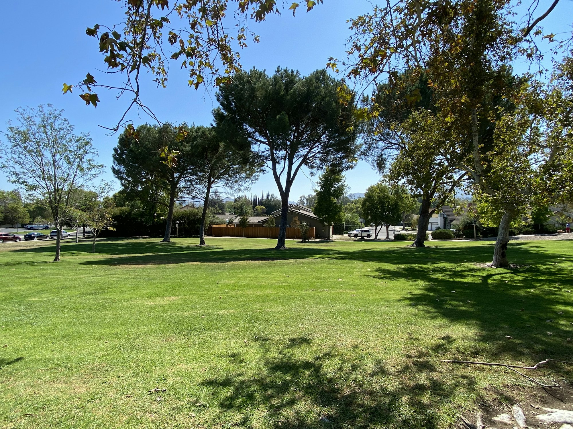 A park with green grass, scattered trees, and houses in the background on a clear, sunny day.