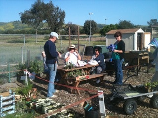 A group of people gardening, standing by a table with plants and tools, in an outdoor garden setting.