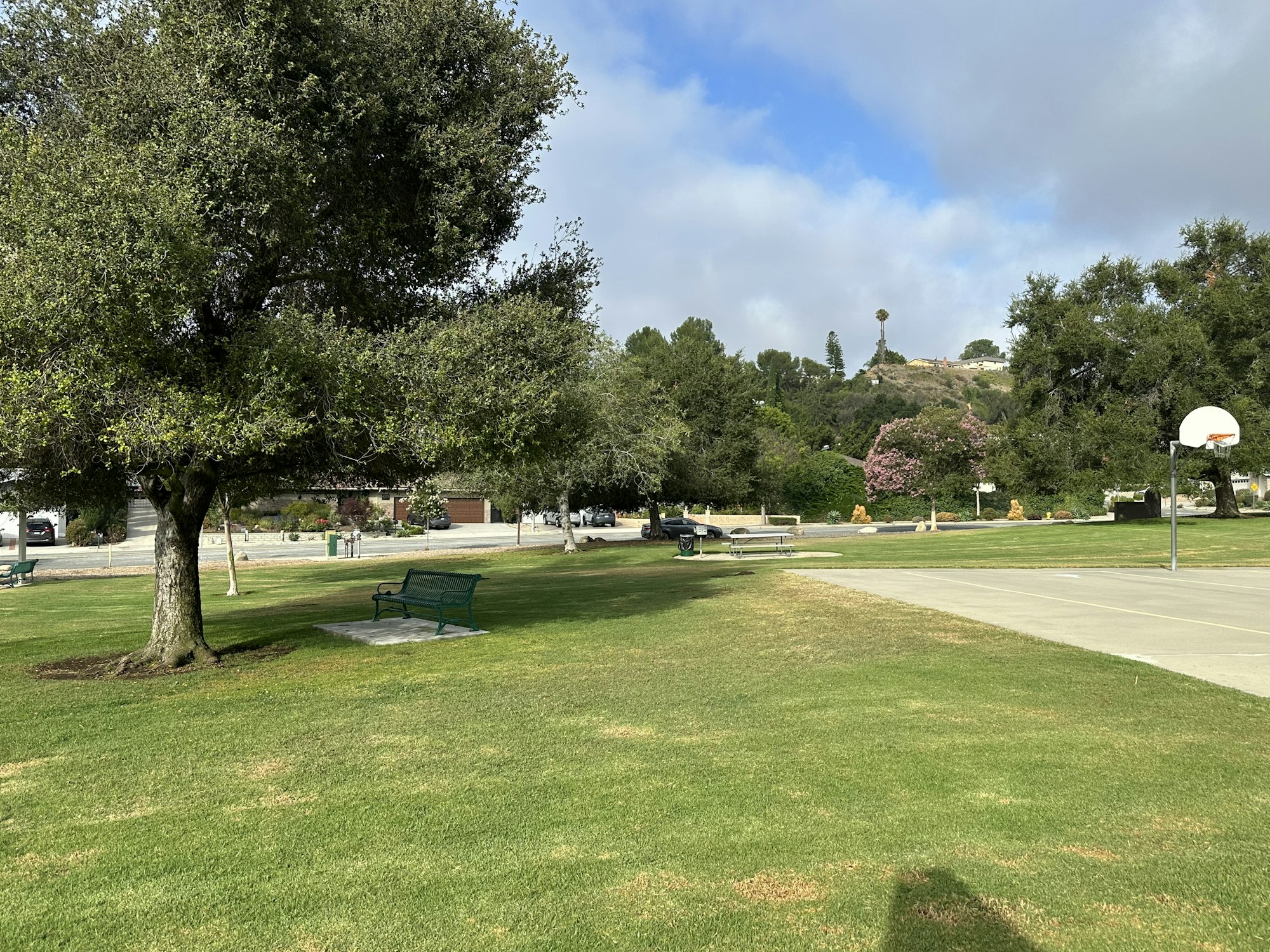 A park scene featuring green grass, a tree, a basketball hoop, benches, and a distant hill with houses and flowers.