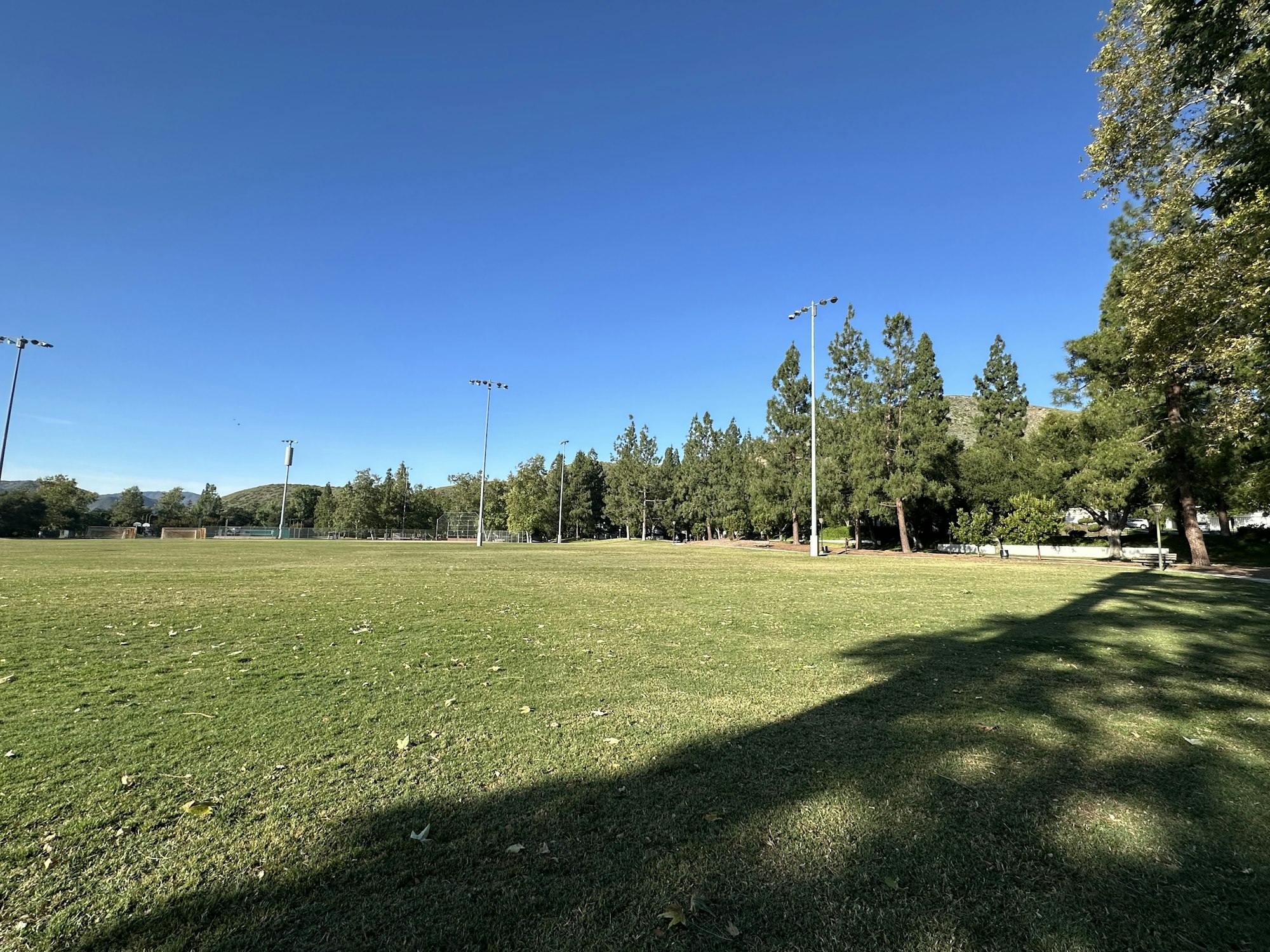 A sunny park with an open grassy field, trees, and sports lighting under a clear blue sky.