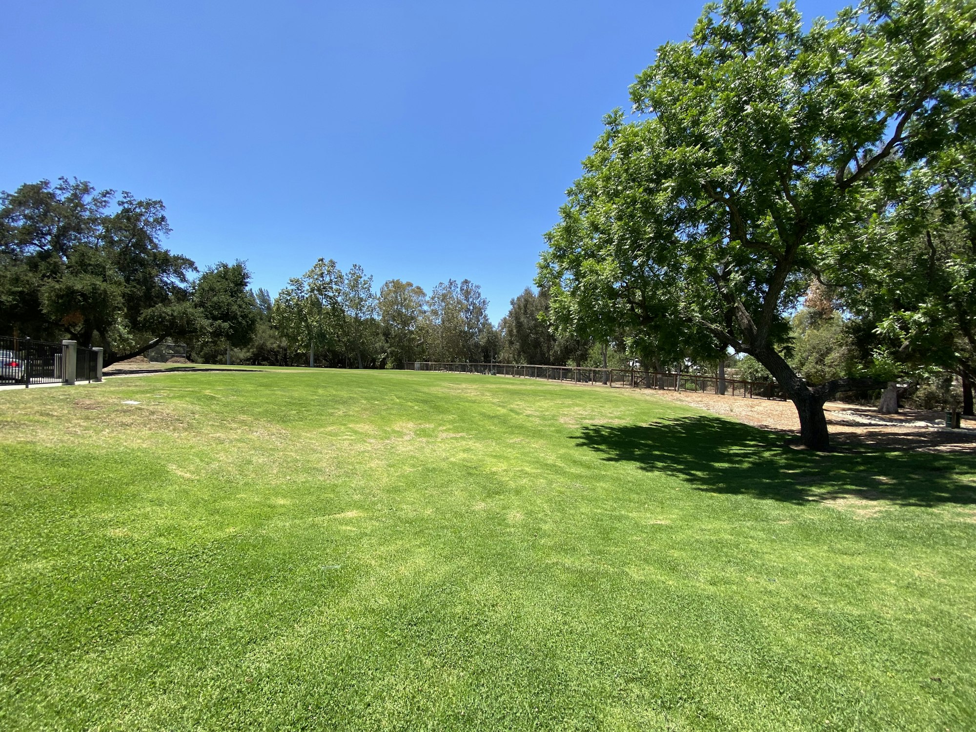 May contain: grass, nature, outdoors, park, plant, lawn, tree, car, transportation, vehicle, and ground