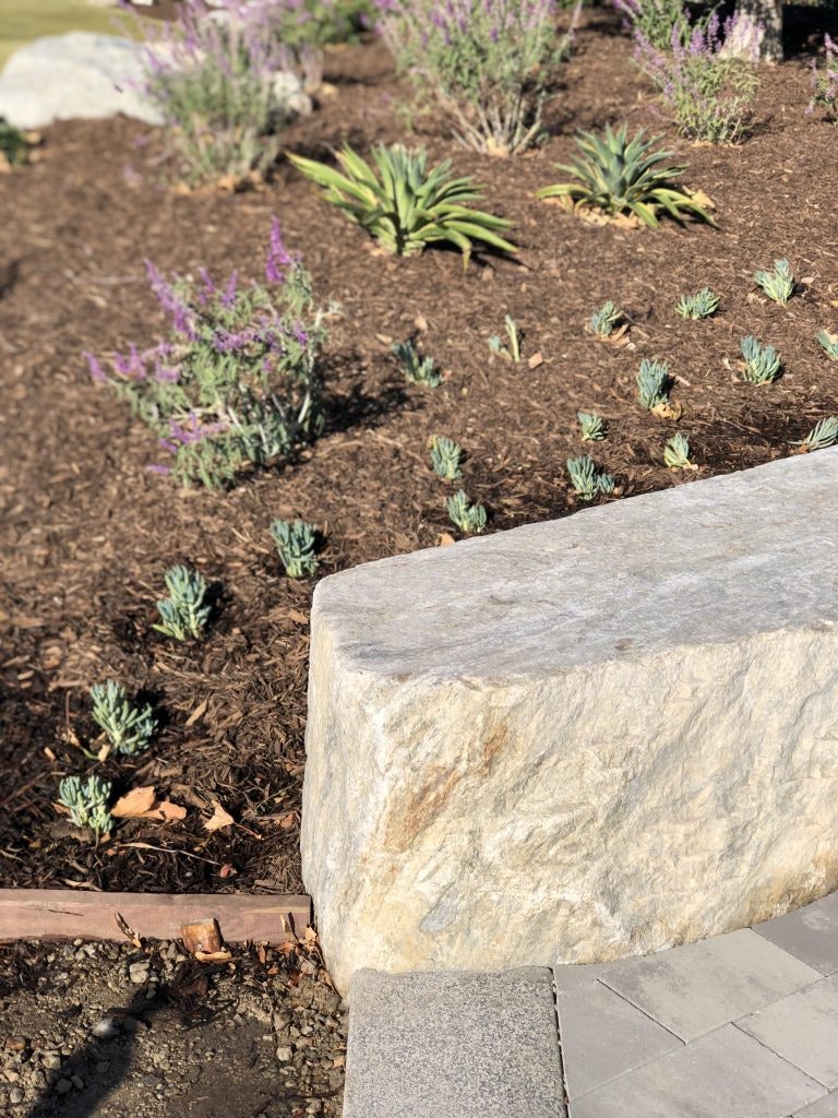 Stone bench next to a landscaped garden with young plants and mulch.