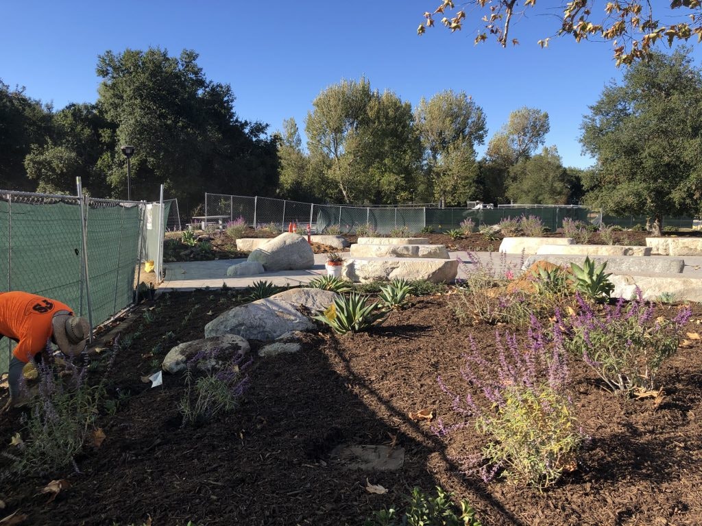 A garden with stones, mulch, and plants, fenced area, worker bent over in orange shirt, surrounded by trees under a clear blue sky.