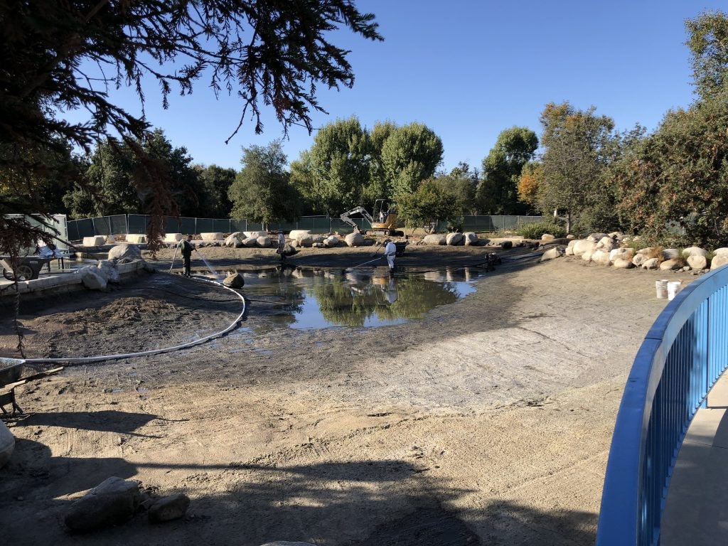 Workers near a partially drained pond, surrounded by trees and rocks, with a blue railing and machinery in the background.