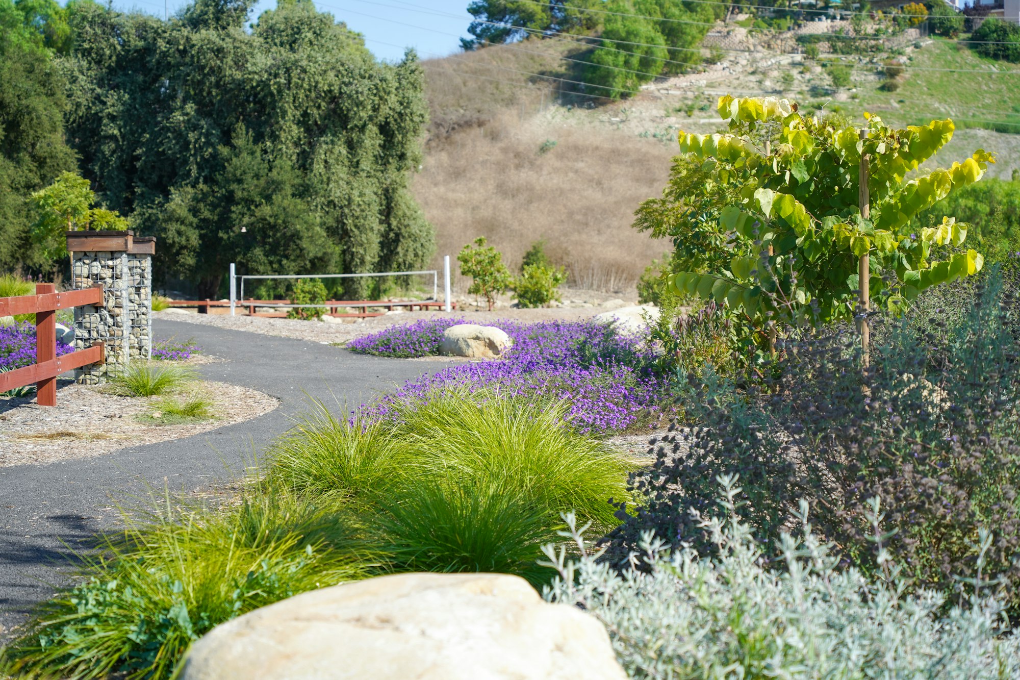 May contain: garden, nature, outdoors, plant, vegetation, flower, path, walkway, arbour, grass, herbs, road, and gravel
