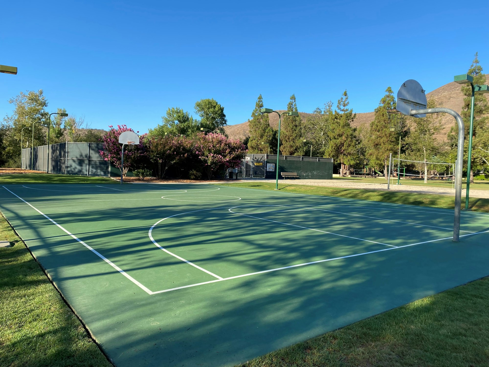 An outdoor basketball court with two hoops, surrounded by trees and a fence, under a clear blue sky.