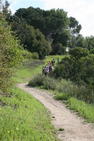 A group of people hiking on a narrow, winding dirt path surrounded by lush green vegetation and trees.
