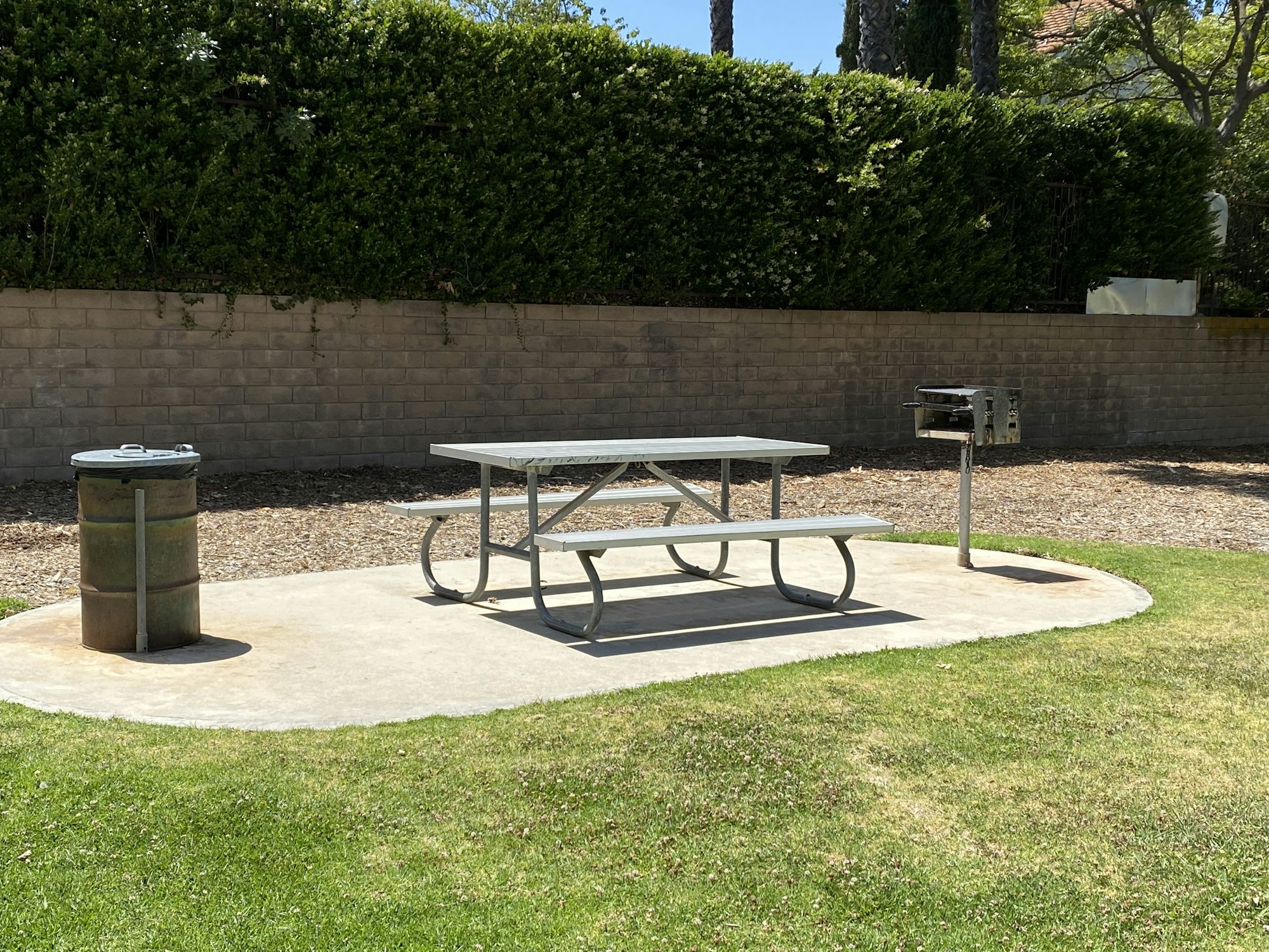 A picnic table, trash can, and grill on a concrete pad surrounded by grass and a brick wall with greenery.