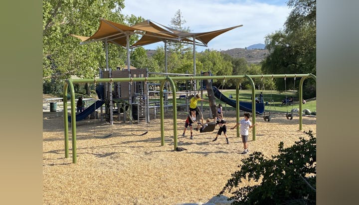 Children playing on a swing set and playground with slides under a canopy, surrounded by trees and grass.