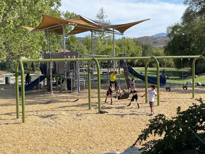 Children playing on a swing set and playground with slides under a canopy, surrounded by trees and grass.