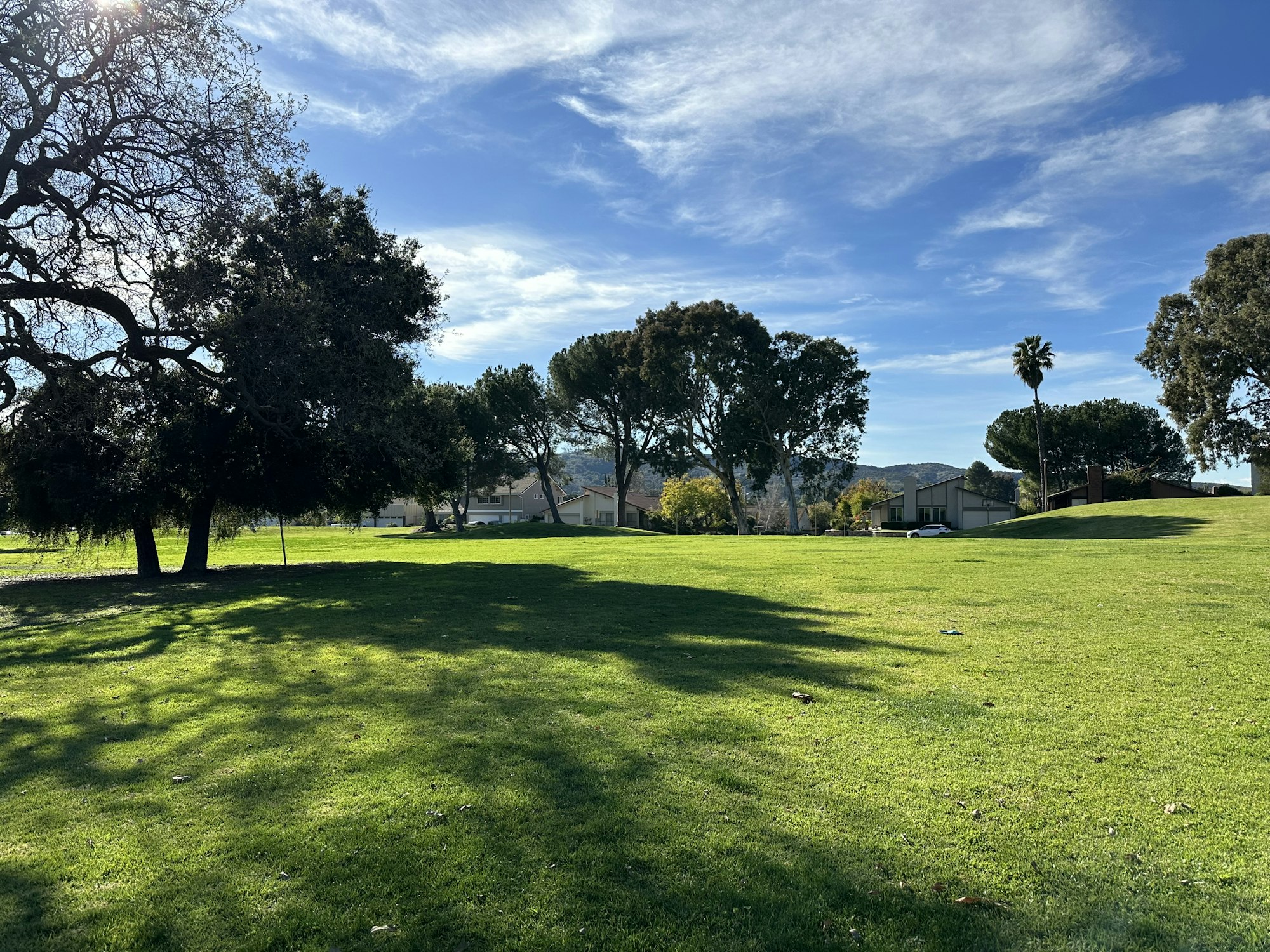 A sunny park with green grass, trees, a few houses, and a blue sky with clouds.