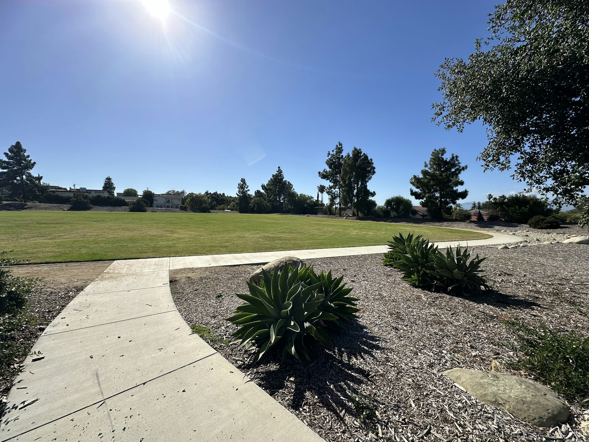 A sunny park scene featuring a curved pathway, green grass, and landscaped plants under a clear blue sky.