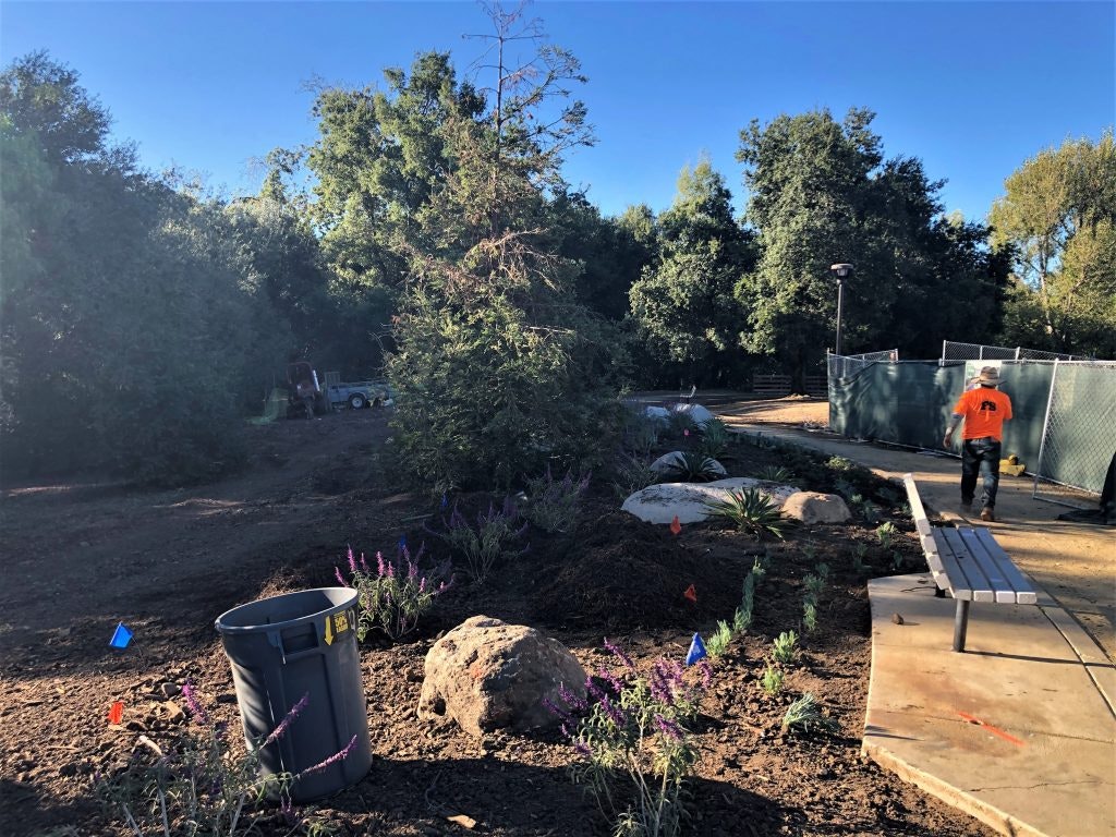 A person walks in a park under construction with trees, plants, a bench, and a trash bin.