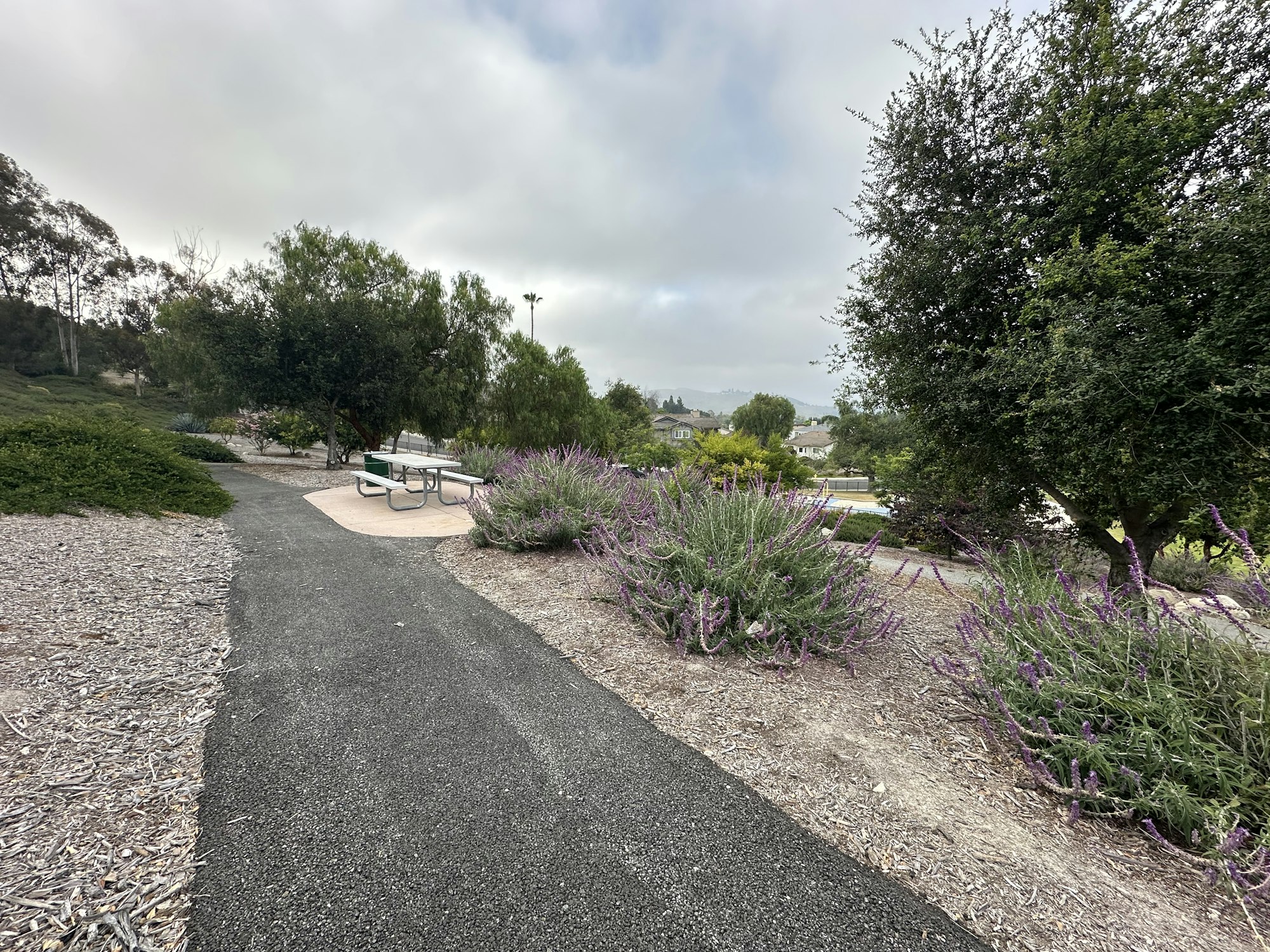 A serene park path leads through greenery and flowering plants, with a picnic table visible in the background under cloudy skies.