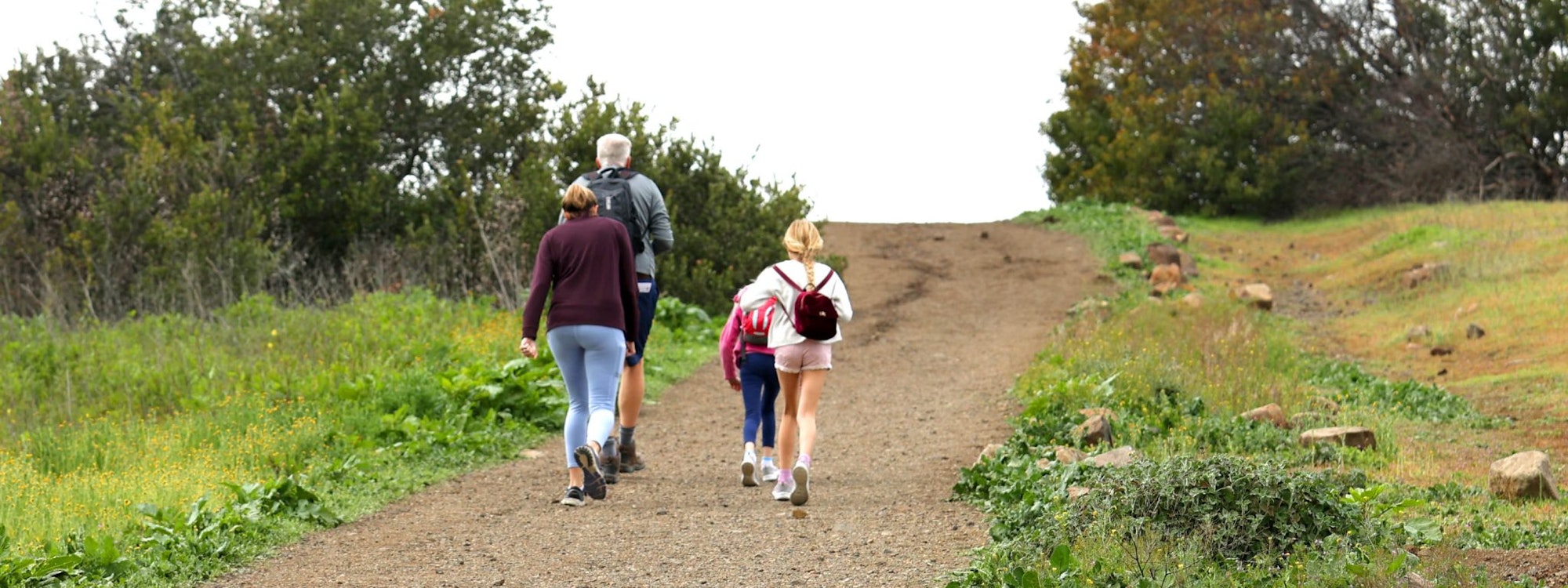 A group of people are hiking on a trail surrounded by greenery and trees.