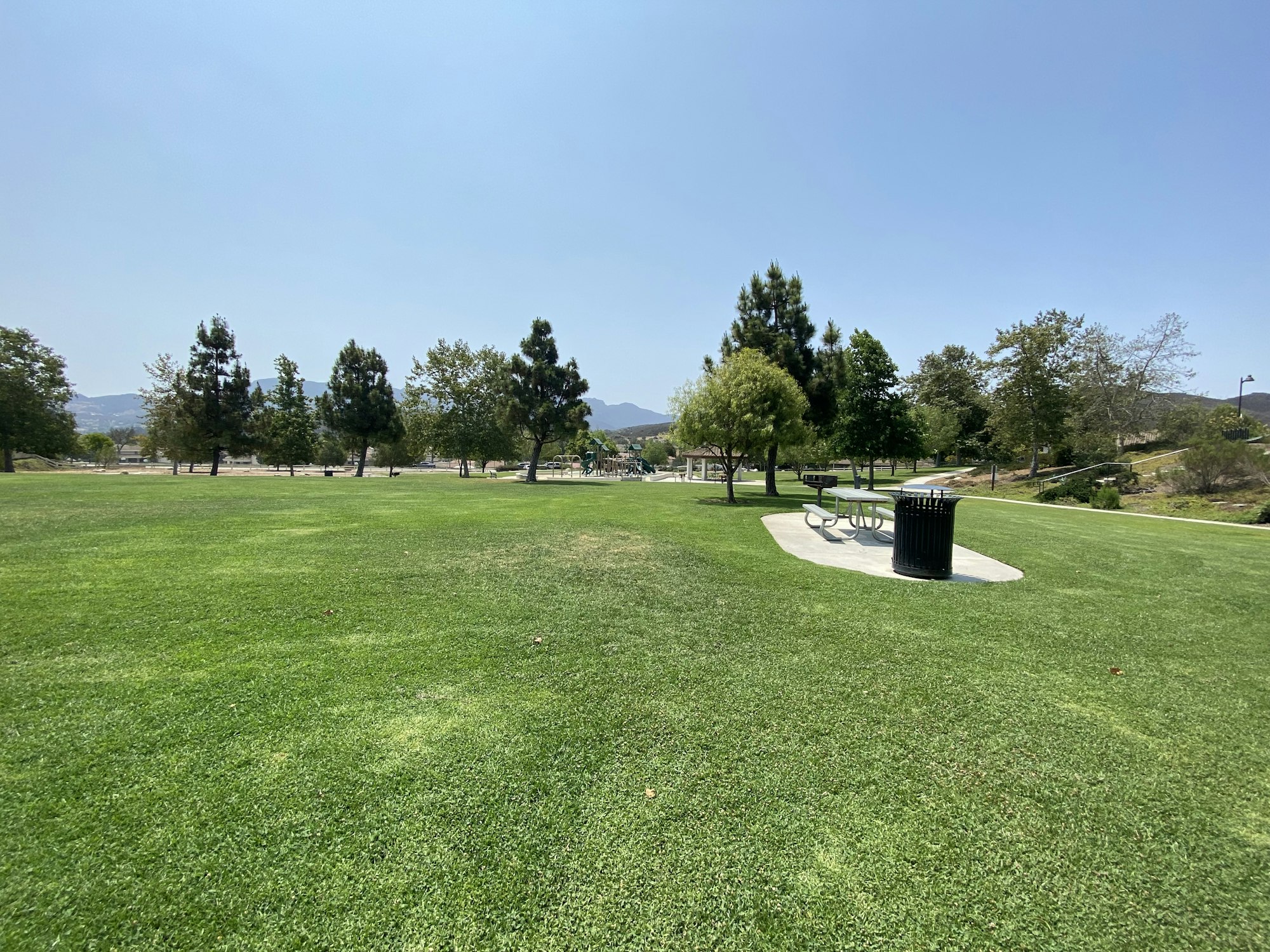 A grassy park with trees, a picnic table, and a trash can under a clear blue sky.