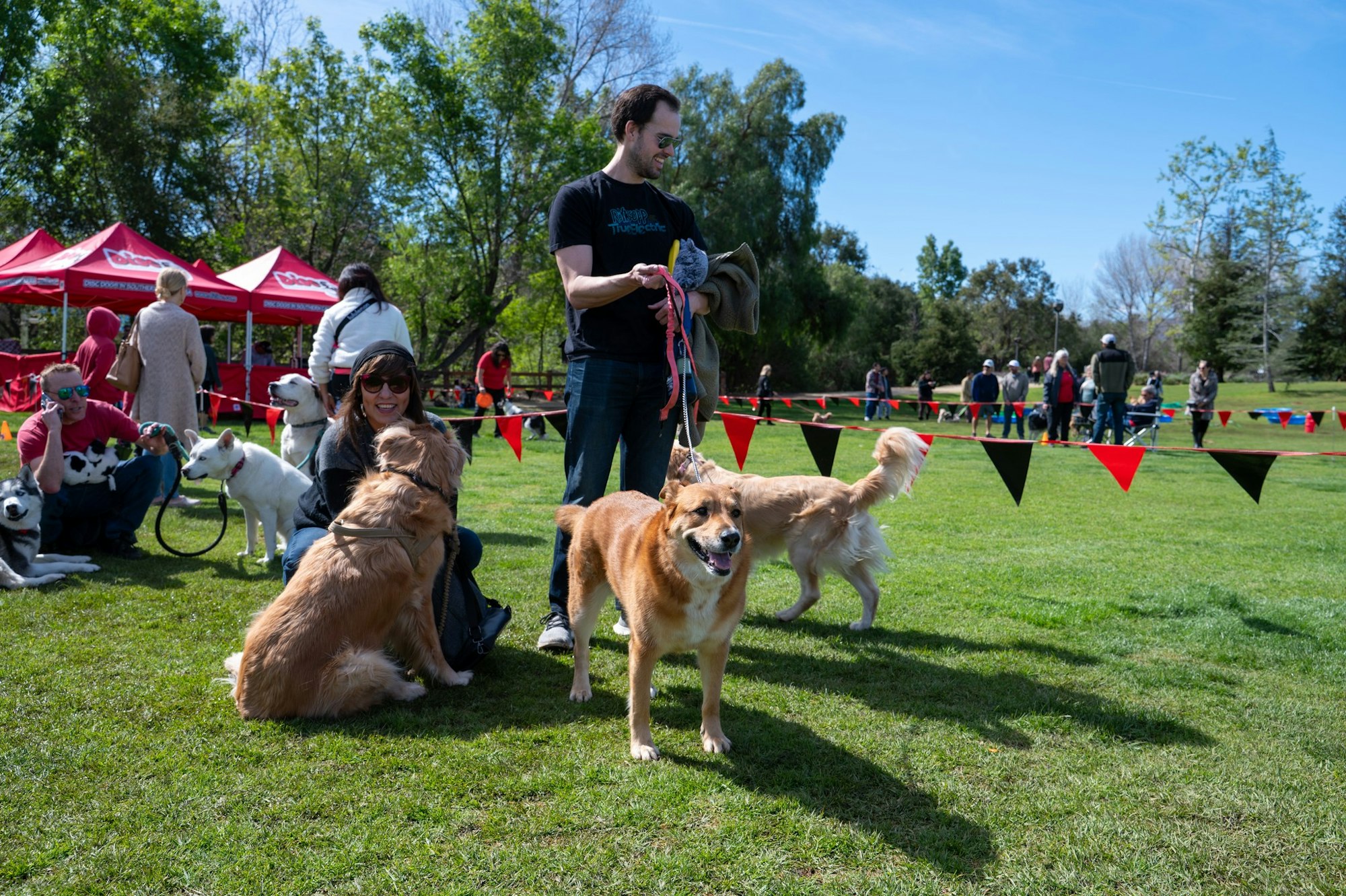 People and dogs at an outdoor event with tents and flags, enjoying a sunny day.