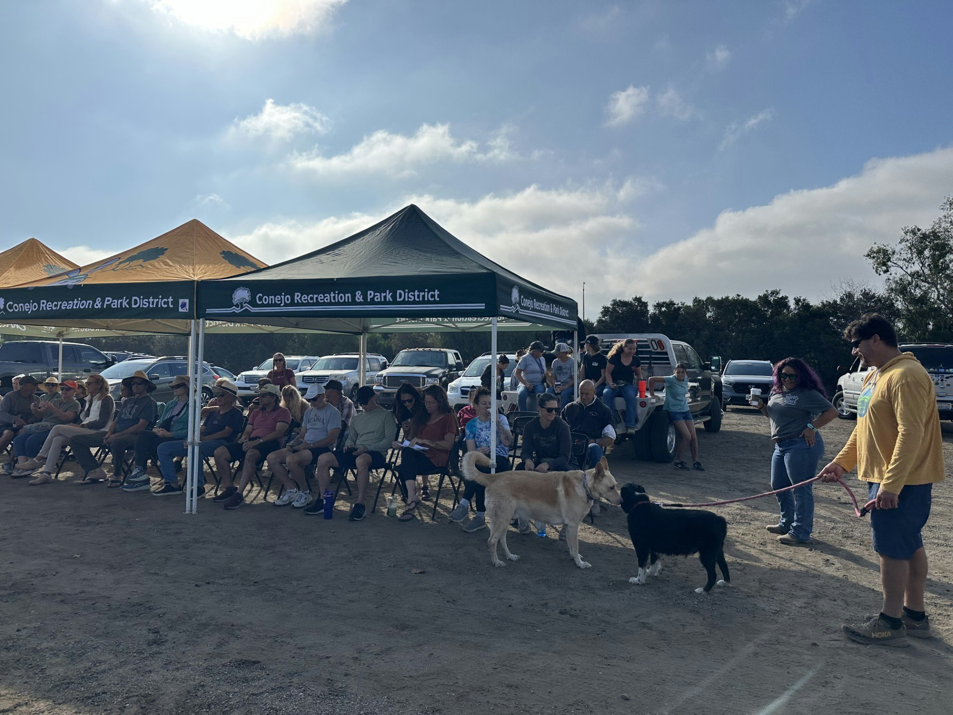 Outdoor event with people sitting under tents marked "Conejo Recreation & Park District"; two dogs interact nearby.