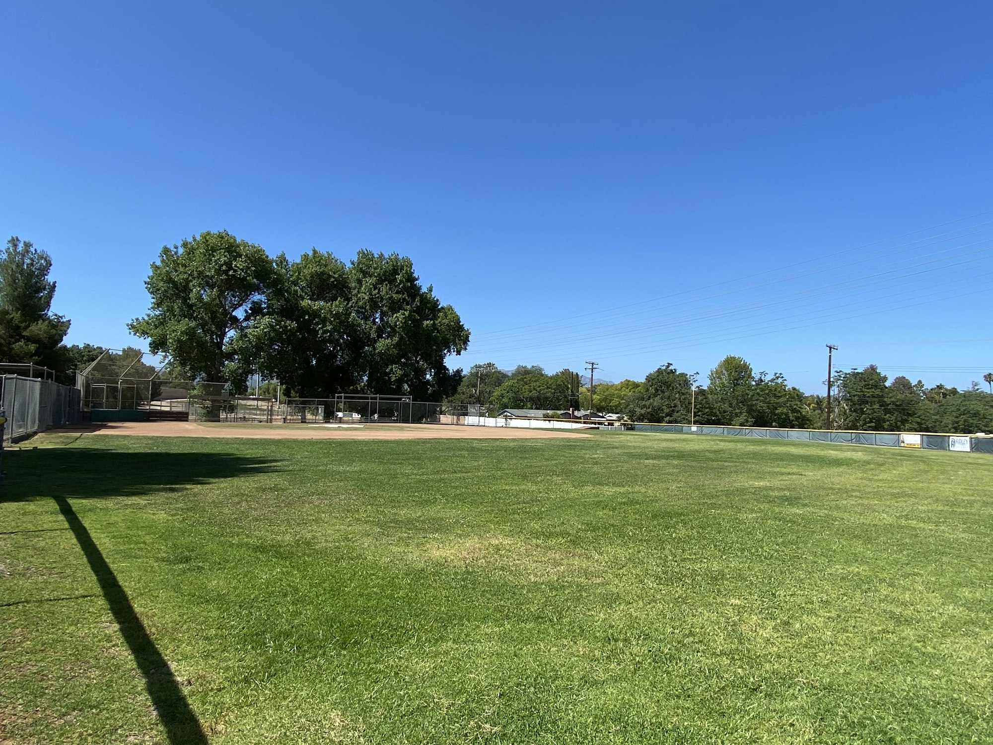A baseball field with green grass, a fenced area in the background, and trees under a clear blue sky.
