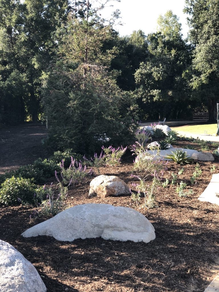 A landscaped garden with trees, rocks, and purple flowers under sunlight.