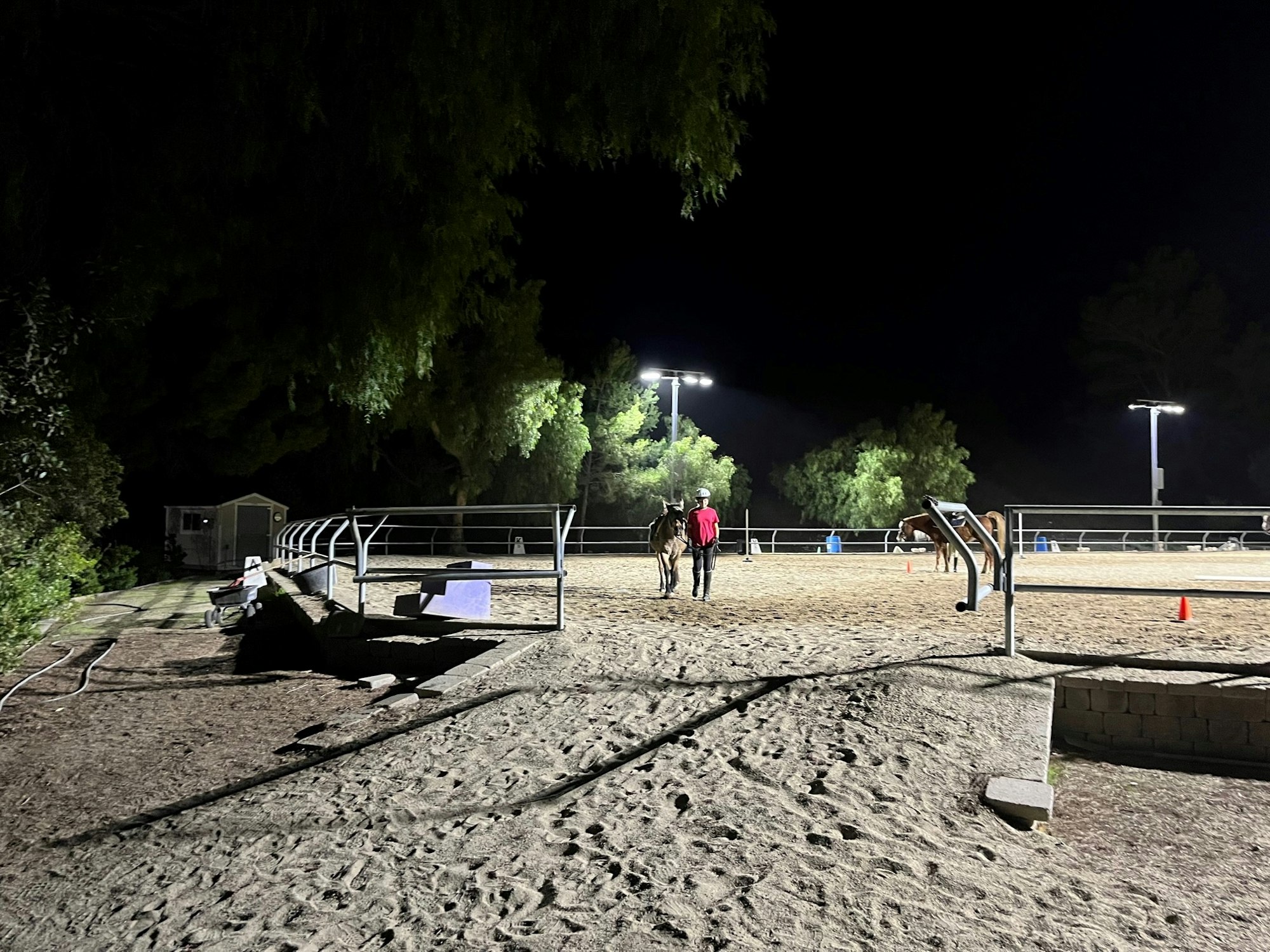 A person stands with a horse in a well-lit, outdoor equestrian arena at night, surrounded by trees and fences.