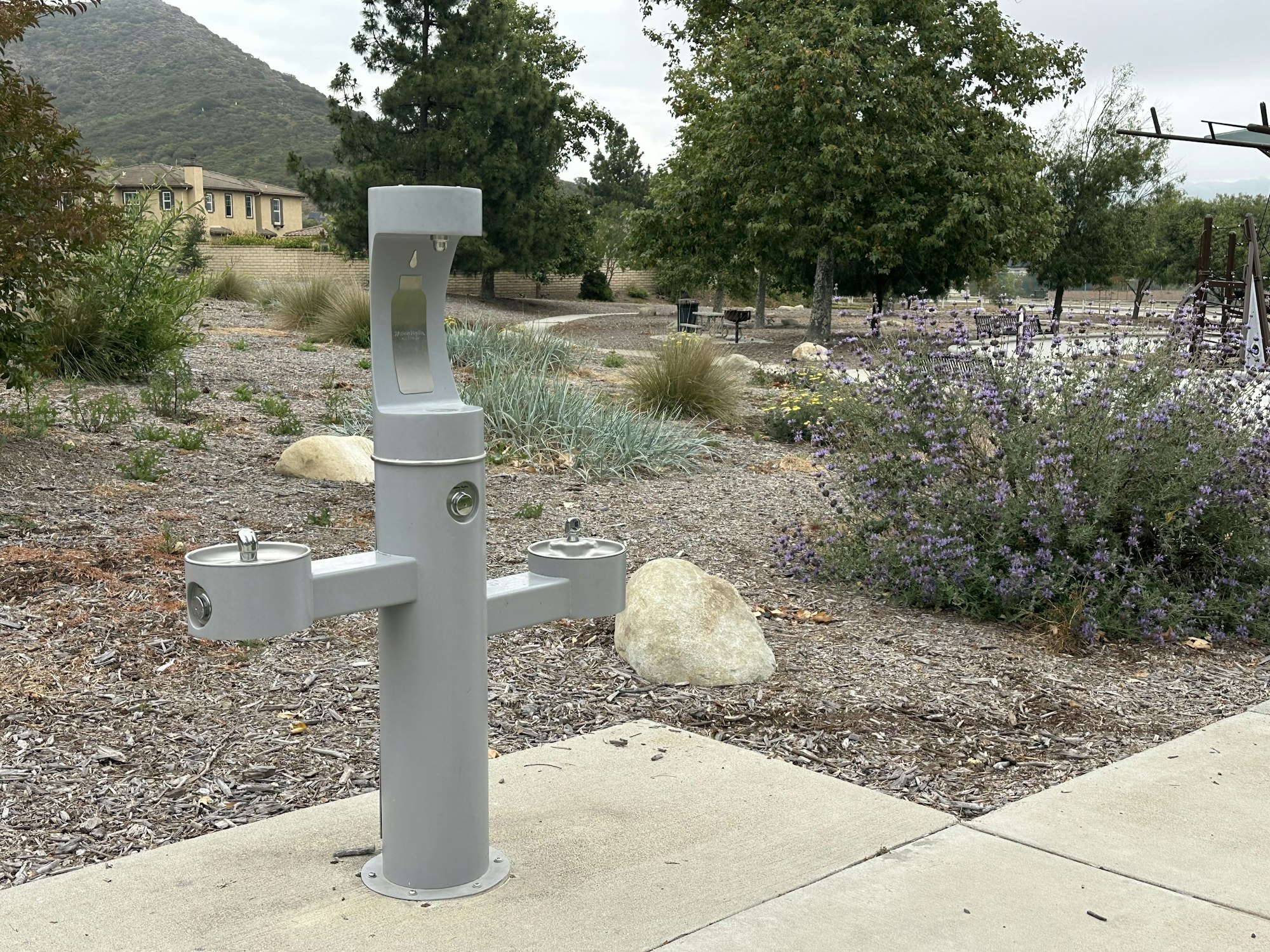 A gray dual drinking fountain in a park, surrounded by shrubs and trees, with a playground visible in the background.