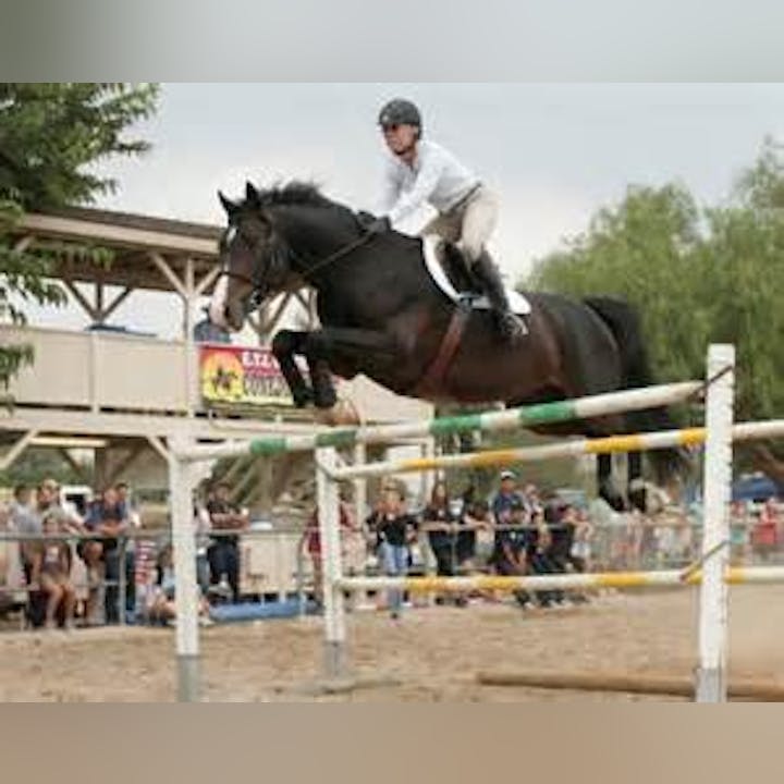 A horse and rider are jumping over a high barrier during an equestrian competition.