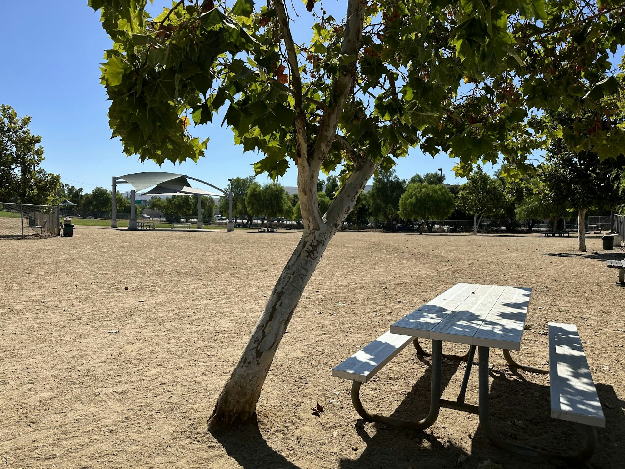 Park with trees, a picnic table, a dirt field, and a shaded pavilion in the background.