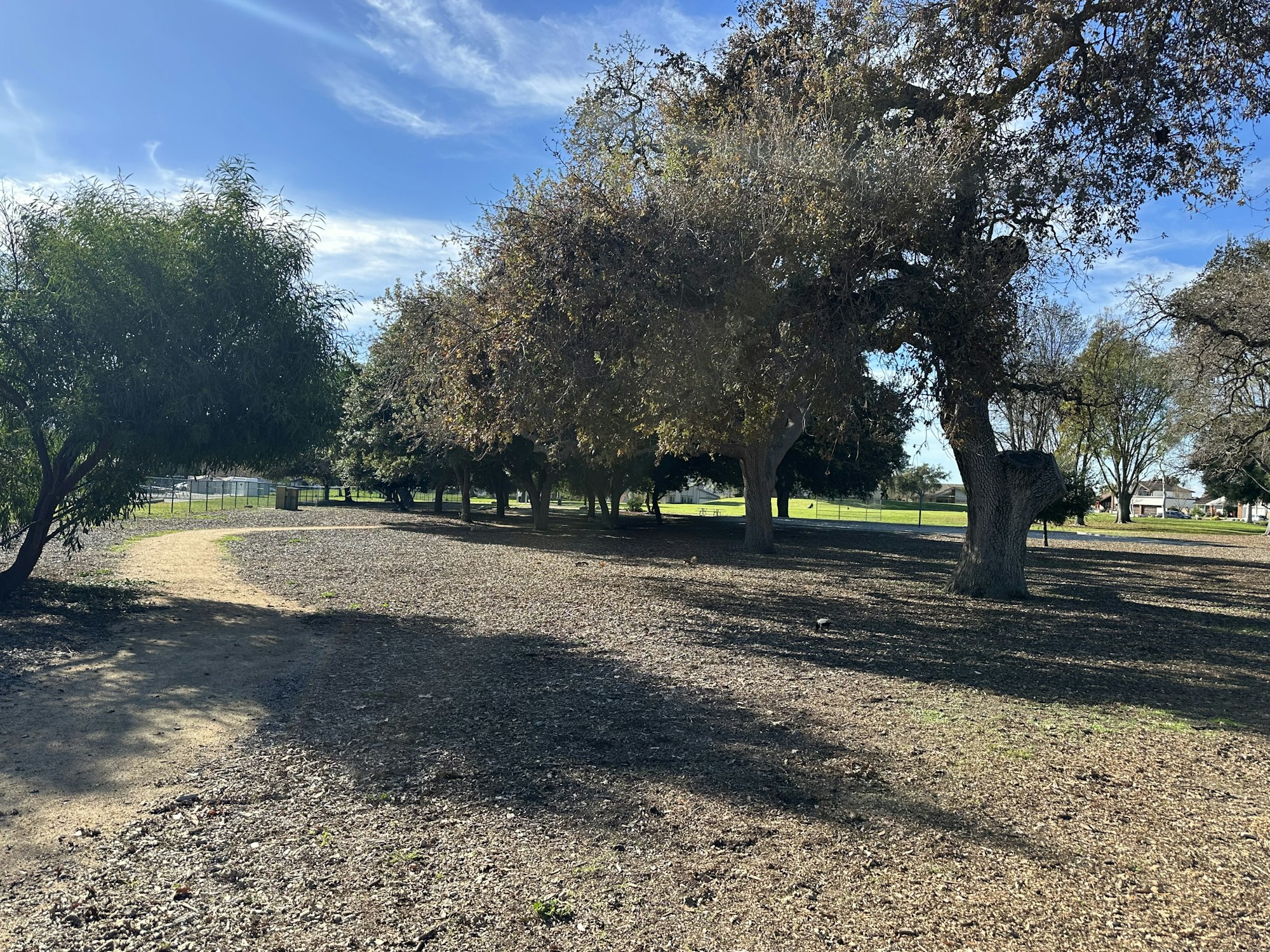 Park with trees, a dirt path, and a sunlit grassy area in the distance.