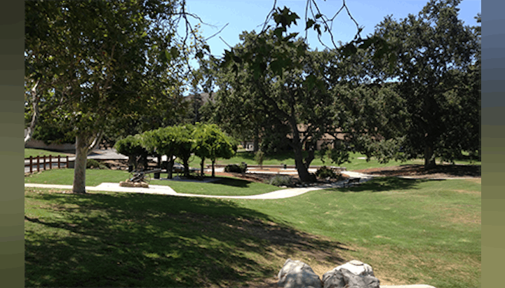 A sunny park with trees, a pathway, and a grassy area, creating a peaceful outdoor scene.