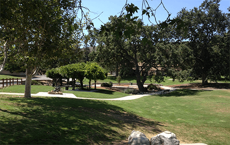A sunny park with trees, a pathway, and a grassy area, creating a peaceful outdoor scene.