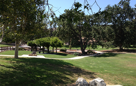 A sunny park with trees, a pathway, and a grassy area, creating a peaceful outdoor scene.