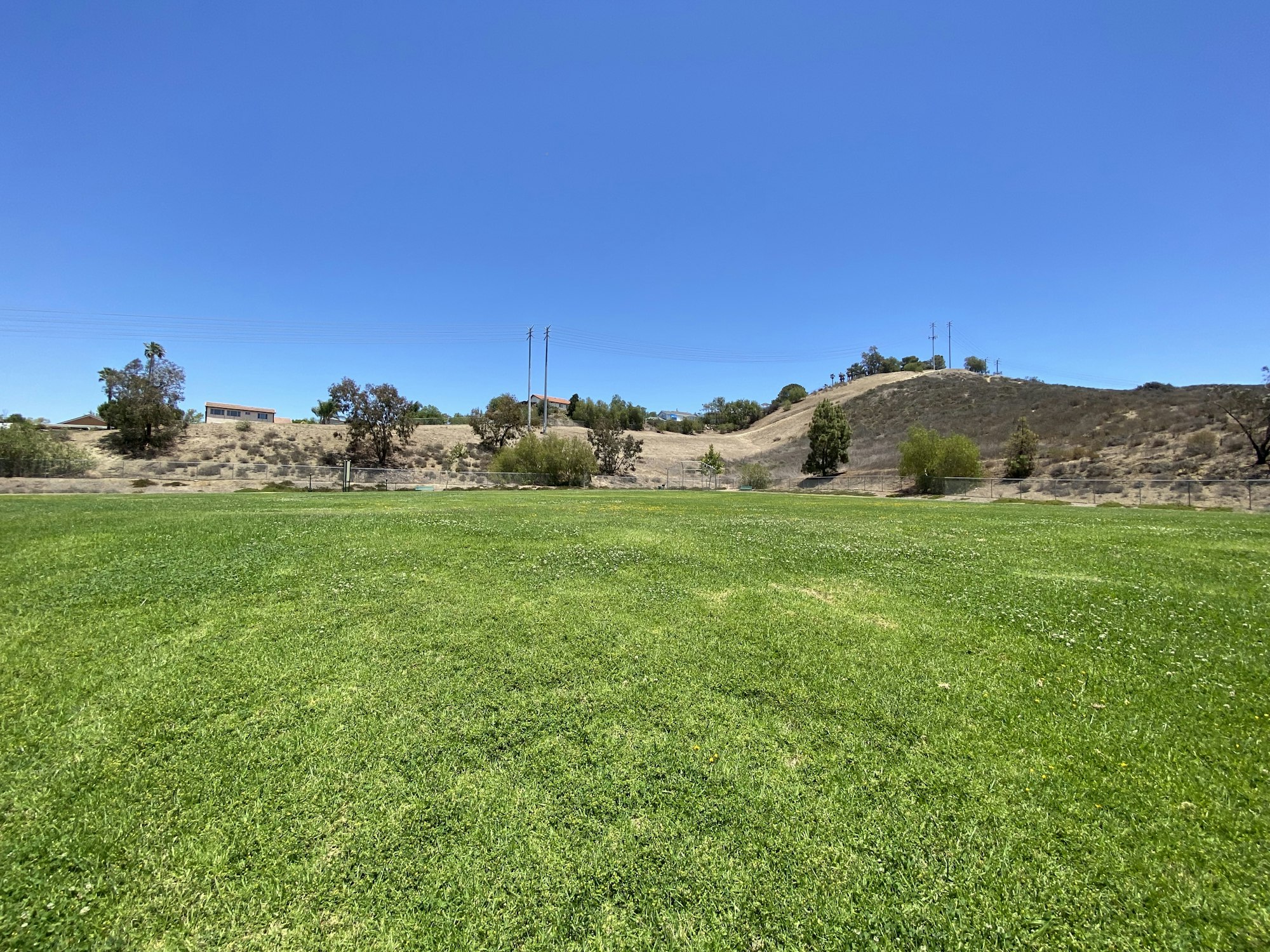 A grassy field with distant hills, trees, and a clear blue sky.