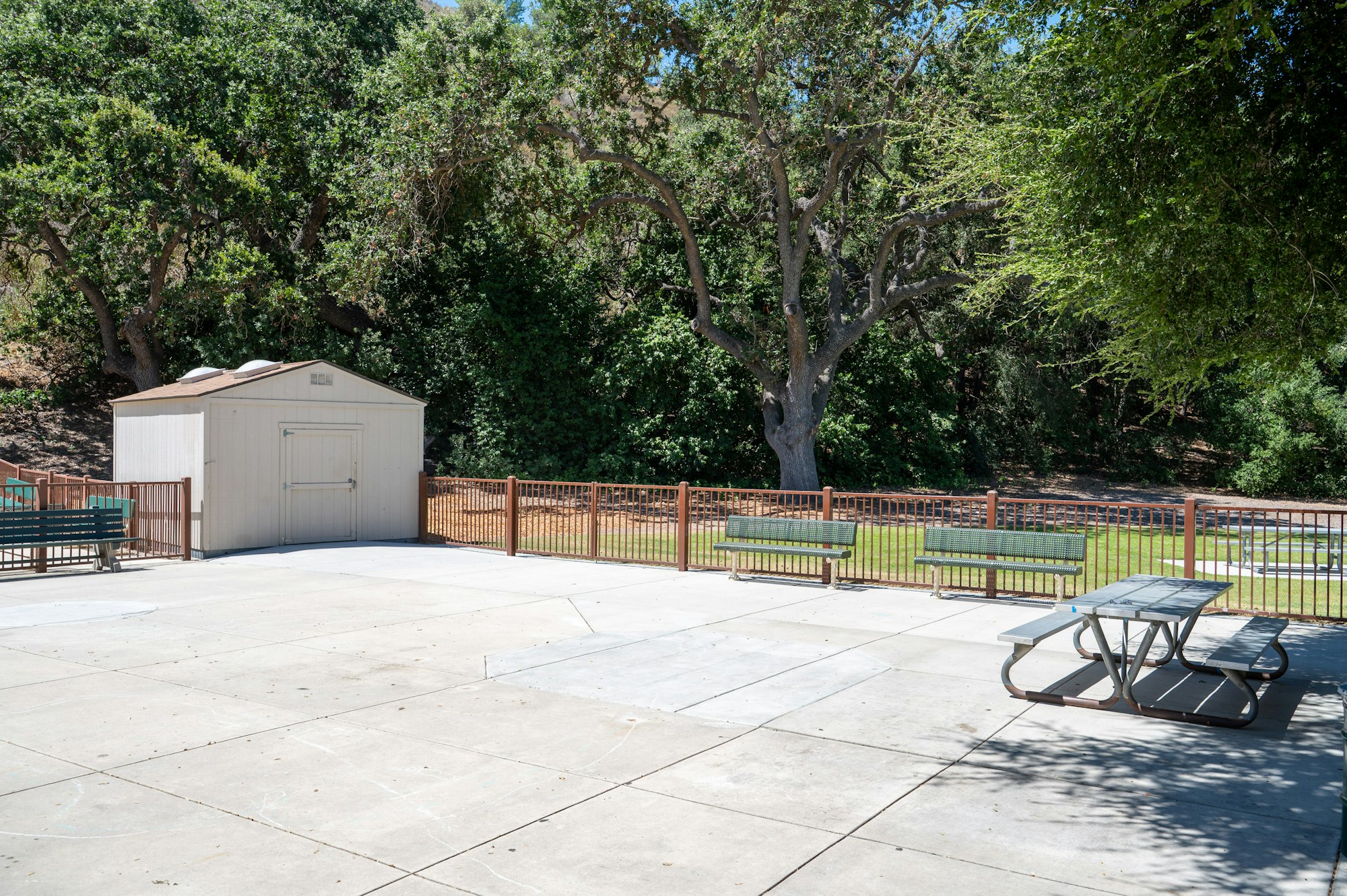 A concrete patio with a picnic table, metal benches, a shed, and trees in the background.