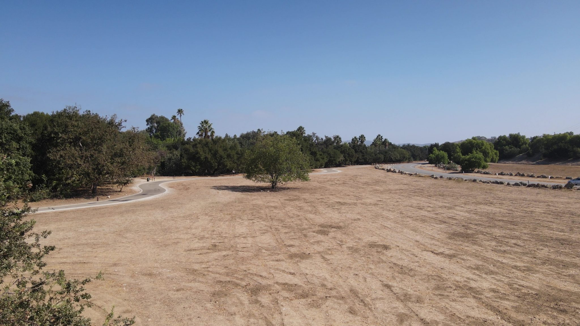 A dry landscape with a winding path, sparse trees, and clear blue sky.