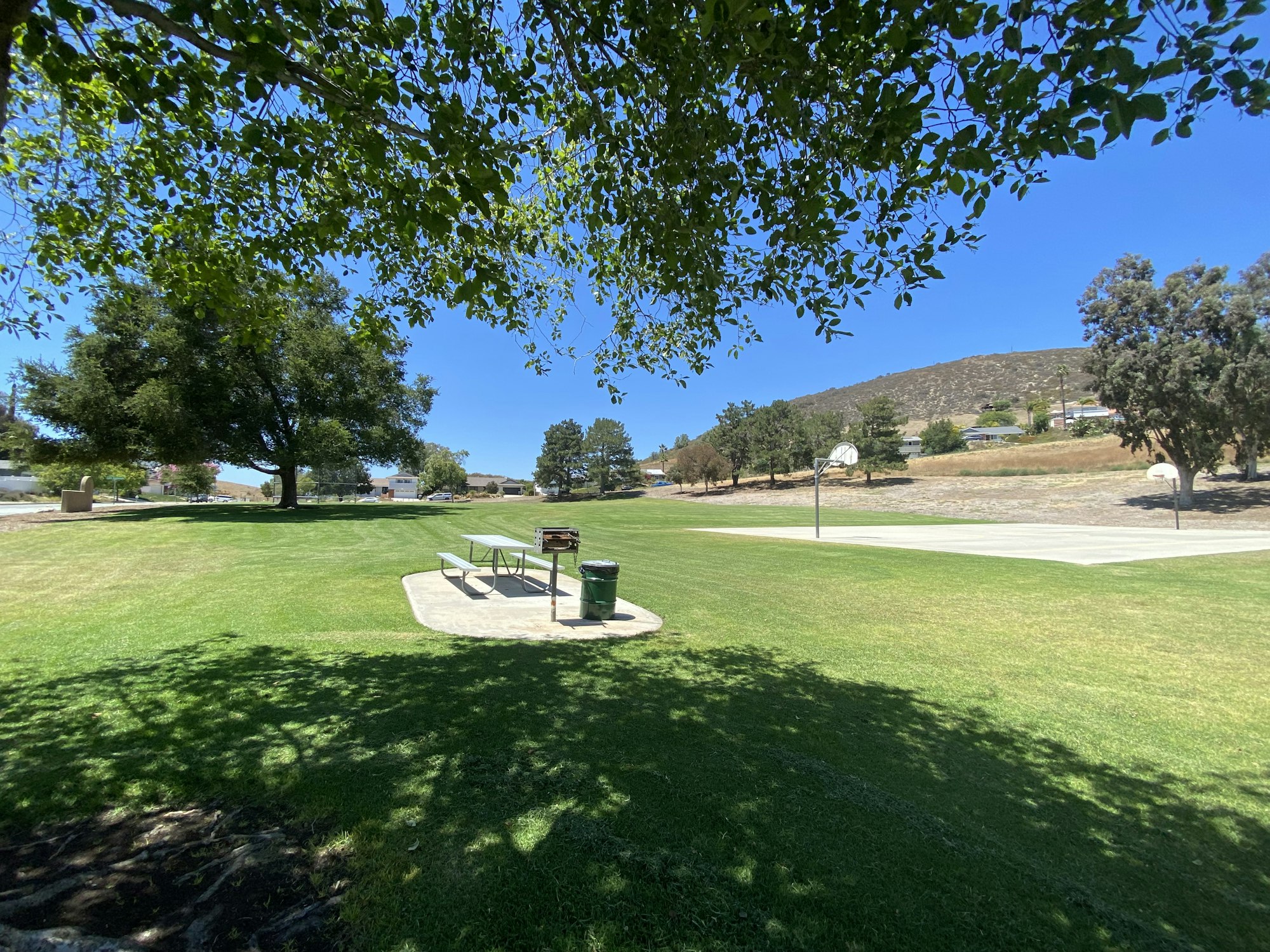 A grassy park with a picnic table, trash can, trees, and a basketball court under a clear blue sky.