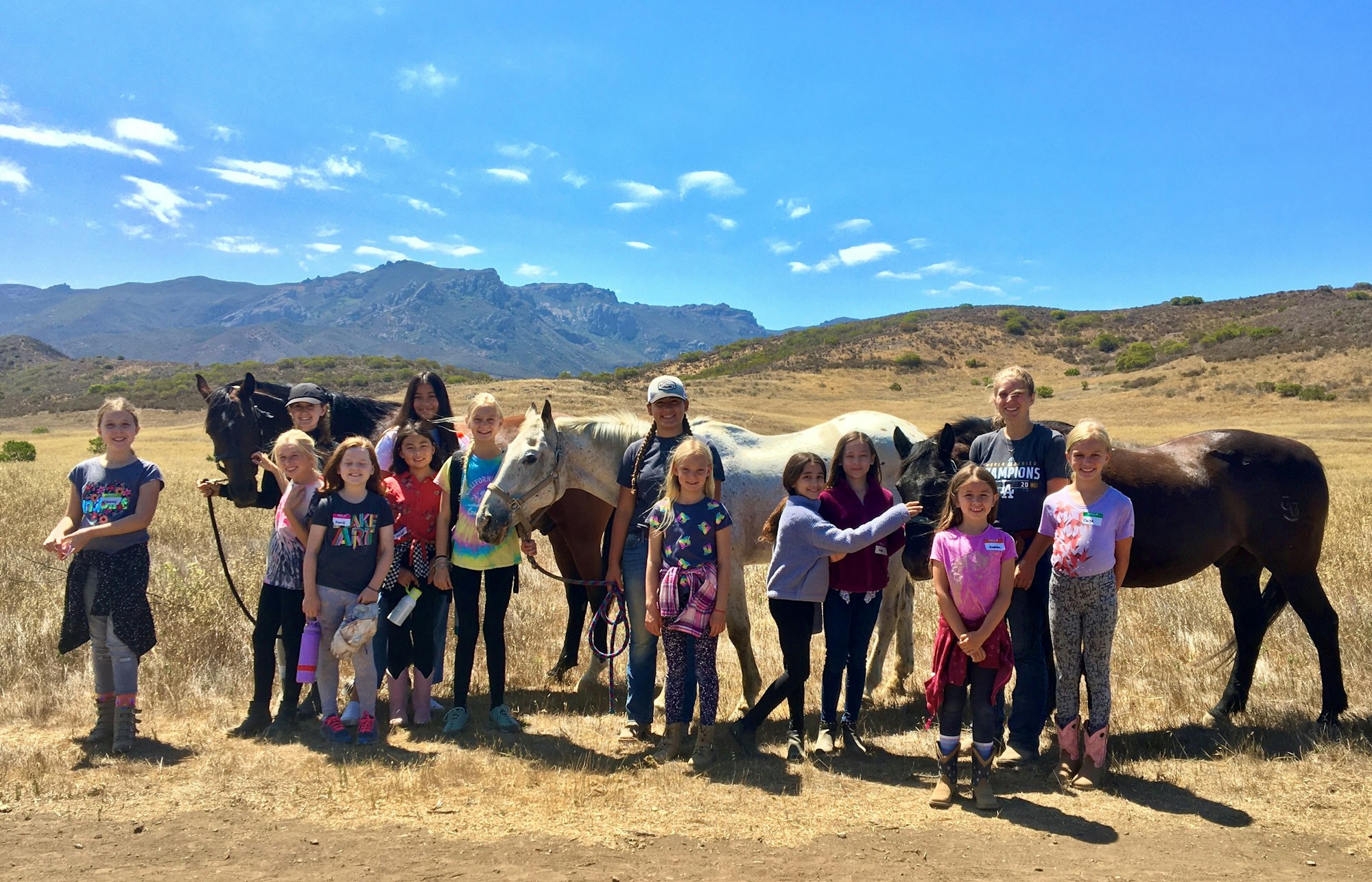 A group of people and horses outdoors in a scenic, mountainous area under a clear blue sky.