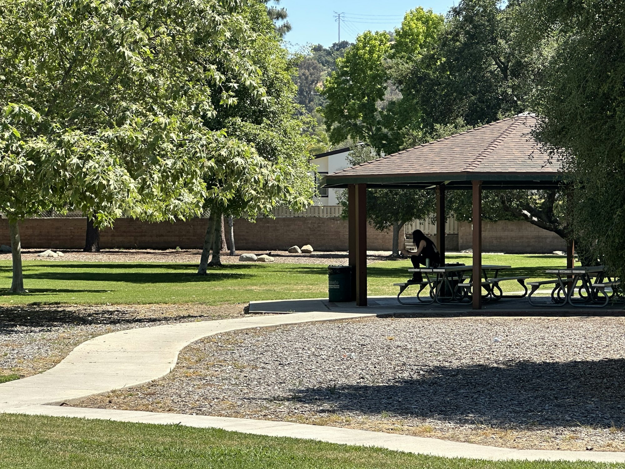 A person sitting under a gazebo in a park with trees, benches, a sidewalk, and grass.