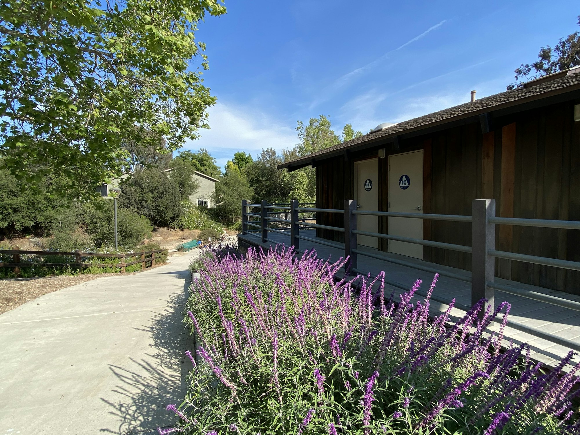 Pathway with purple flowers leads to wooden building with restroom signs, surrounded by greenery and trees under a clear blue sky.
