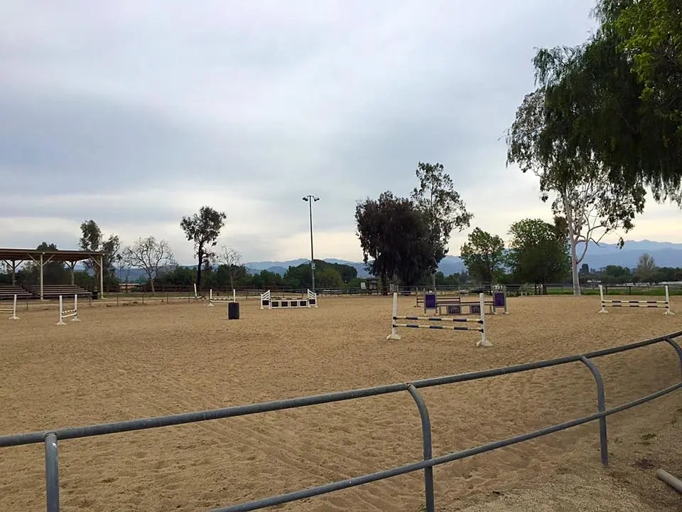 A sandy equestrian arena with jump obstacles, surrounded by trees, under an overcast sky.