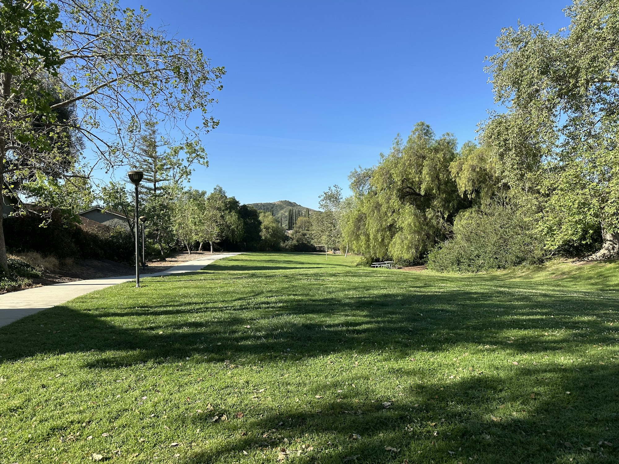 A sunny park scene with green grass, trees, and a path, set against a clear blue sky and distant hills.