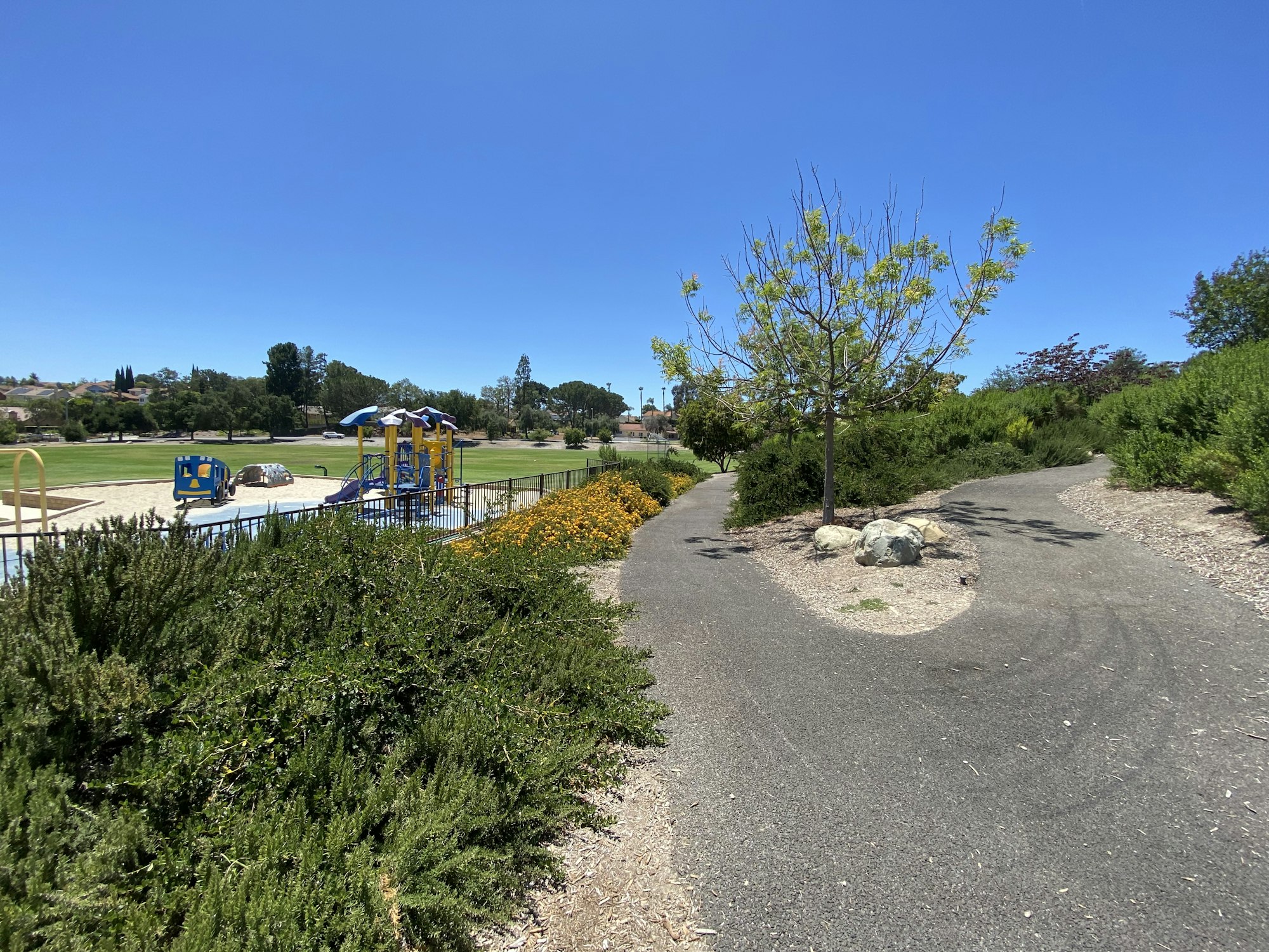 A sunny park with a playground, walking paths, grassy fields, and trees under a clear blue sky.