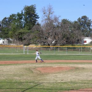 A person in a baseball uniform throwing a ball on a grass field with trees and a fence in the background.